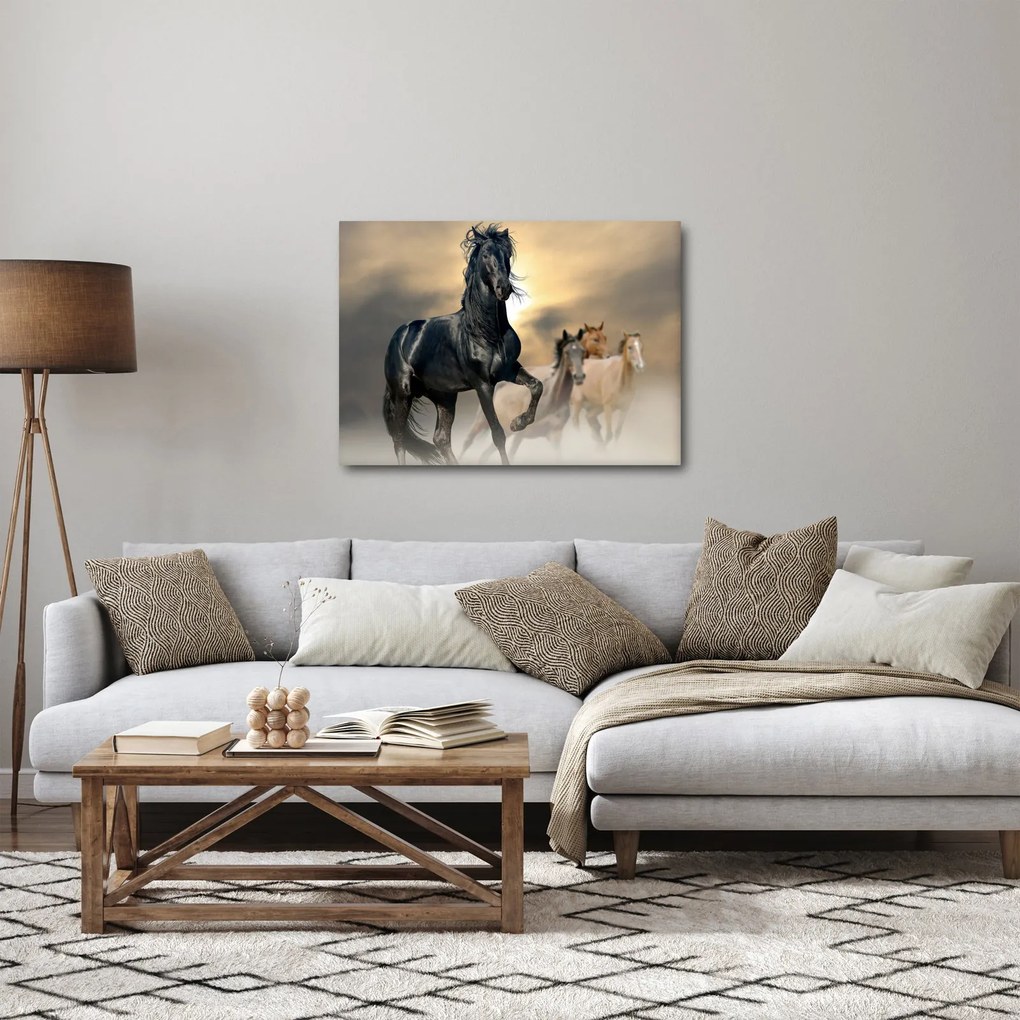Obraz - Konie (70x50 cm)