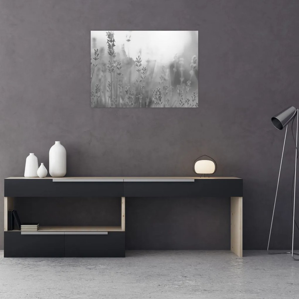 Obraz na szkle - Lawenda (70x50 cm)