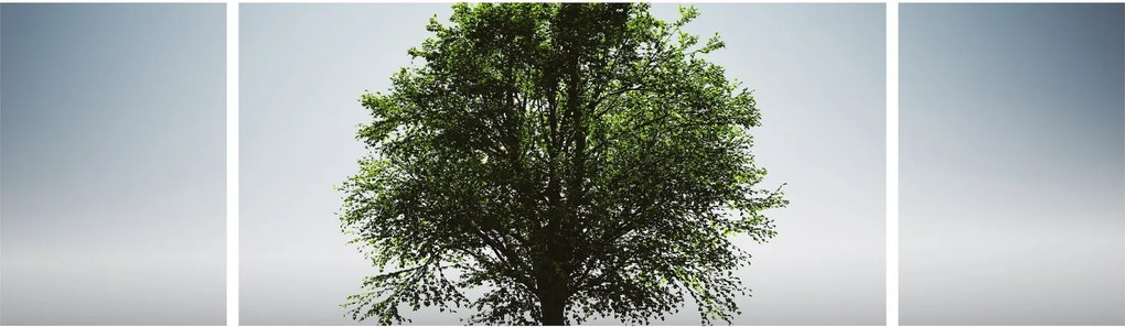 Obraz - Samotne drzewo (170x50 cm)