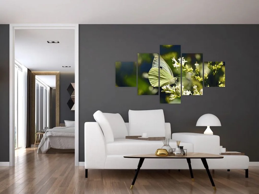 Obraz motyla (125x70 cm)
