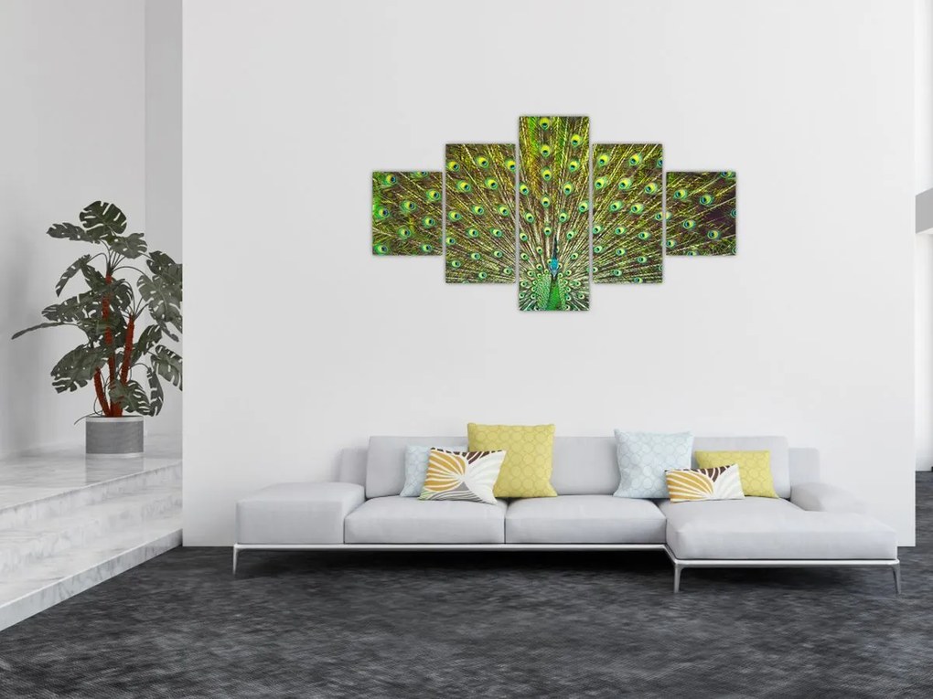Obraz - Paw (125x70 cm)