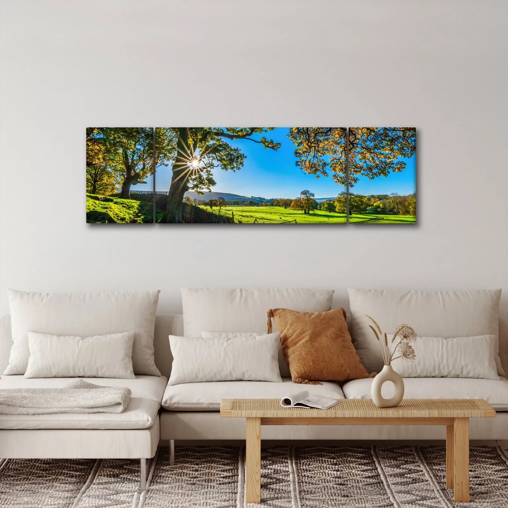Obraz - widok pola (170x50 cm)