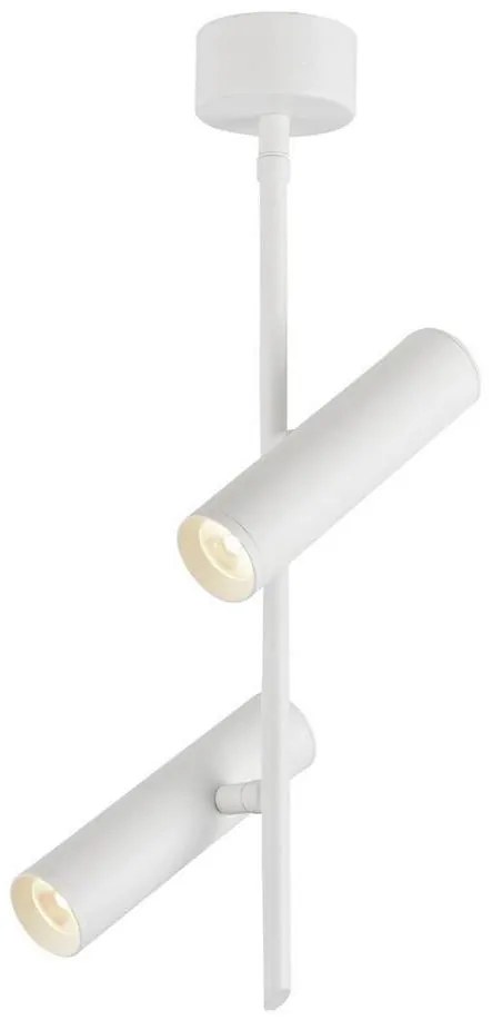 LED Oświetlenie punktowe TUBA 2xLED/10W/230V biały