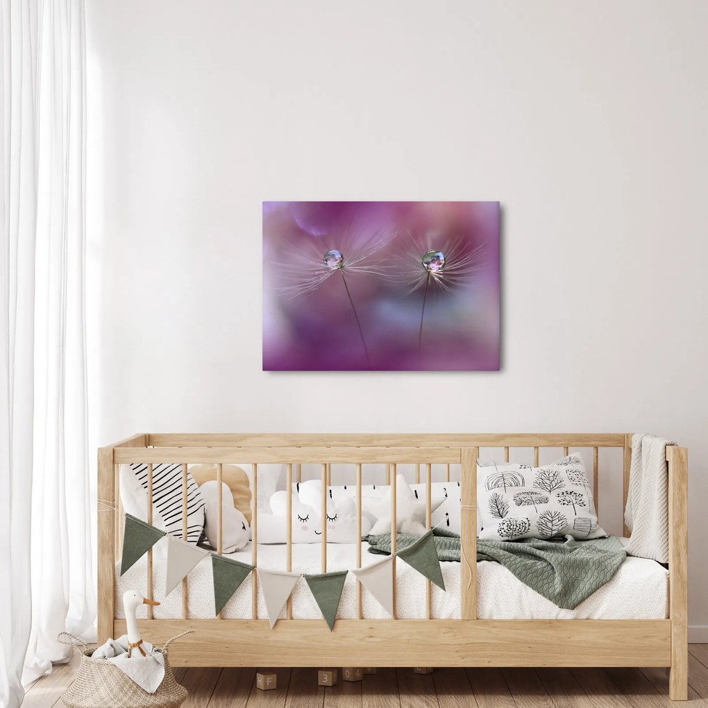 Obraz kropelek na puchu (70x50 cm)