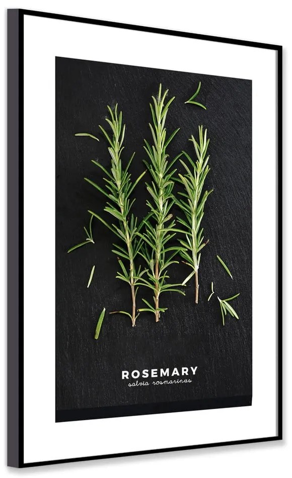 Obraz 50x70 cm Rosemary – Styler