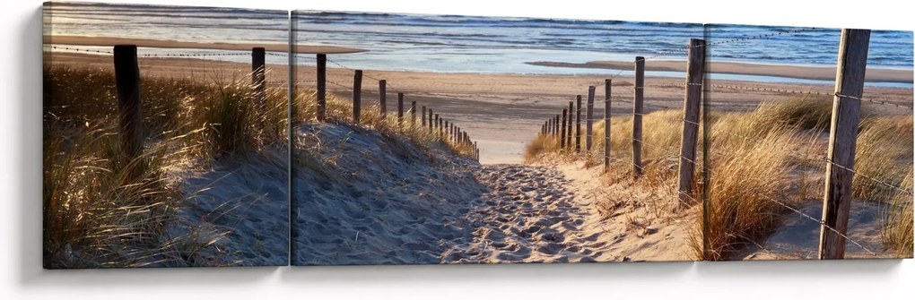 Obraz - Droga na plażę Morza Północnego, Holandia (170x50 cm)