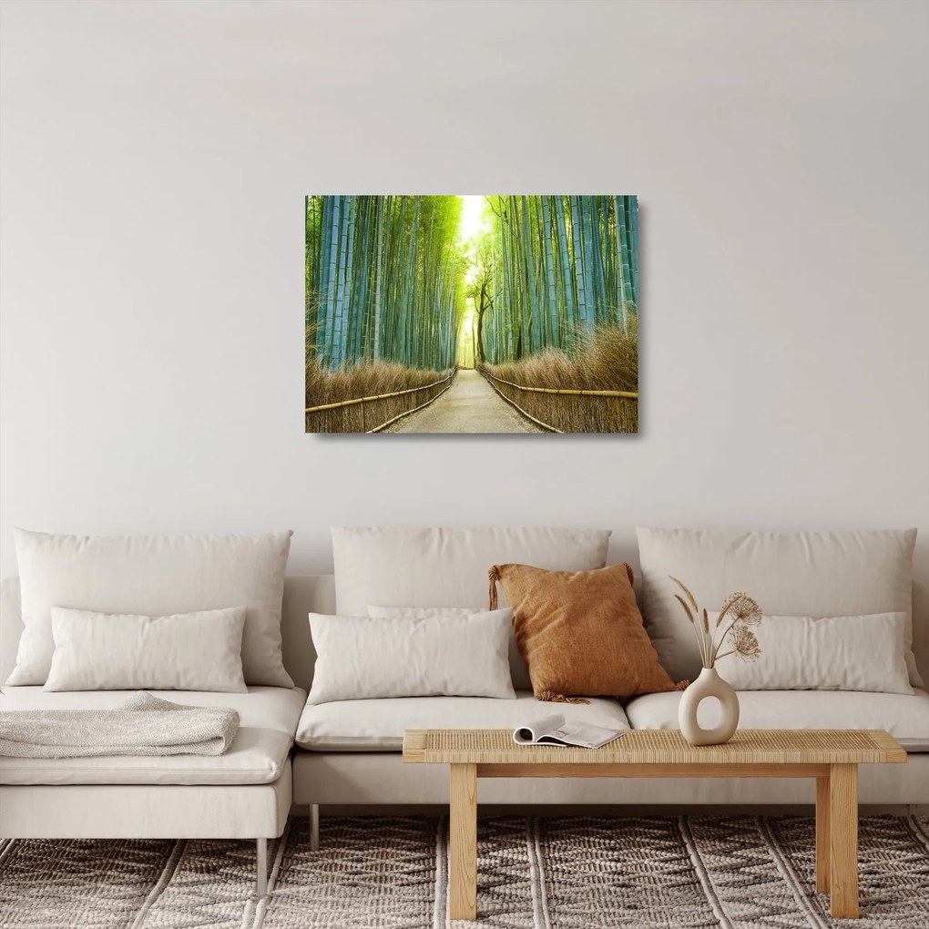 Obraz na szkle - Las bambusowy (70x50 cm)