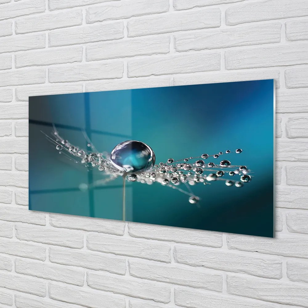 Panel nad Blat Kuchenny Dmuchawiec w Makrofotografii