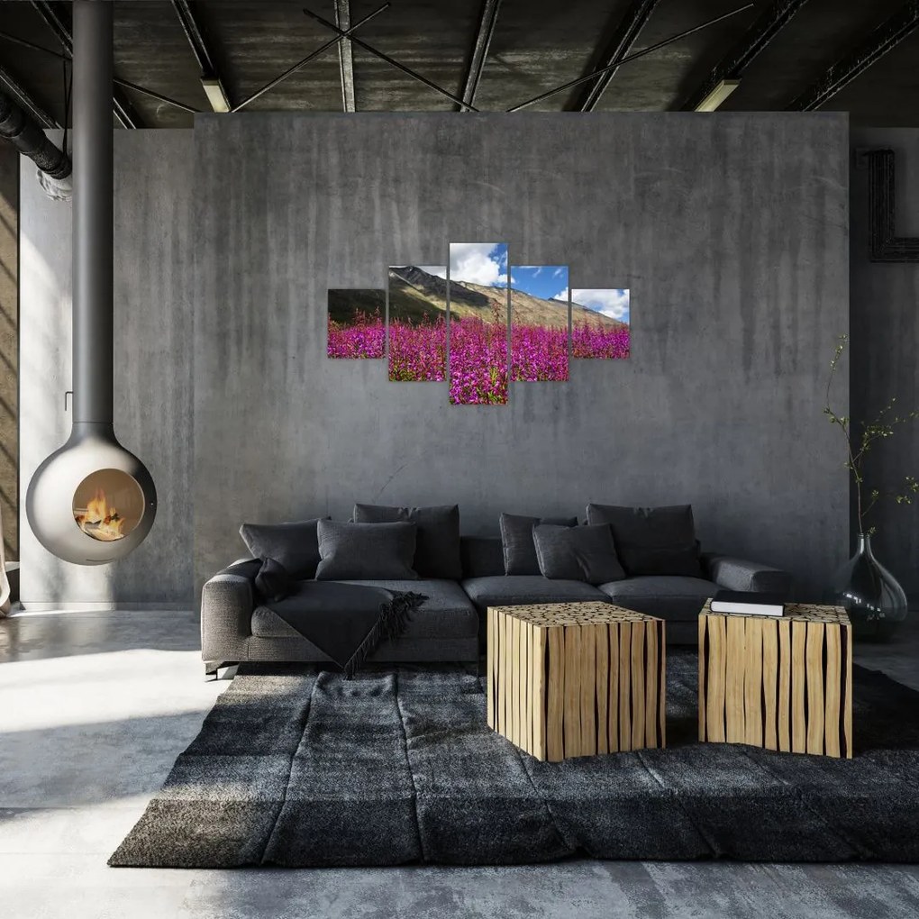 Obraz scenerii łąki górskiej (125x70 cm)