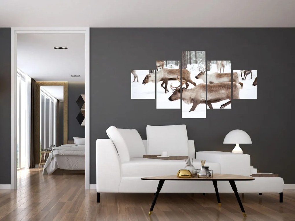 Obraz - Renifer (125x70 cm)