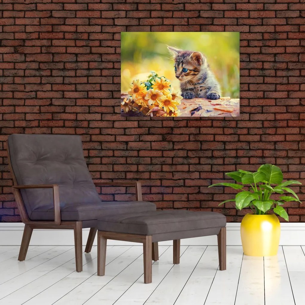 Obraz kotka patrzącego na kwiat (70x50 cm)
