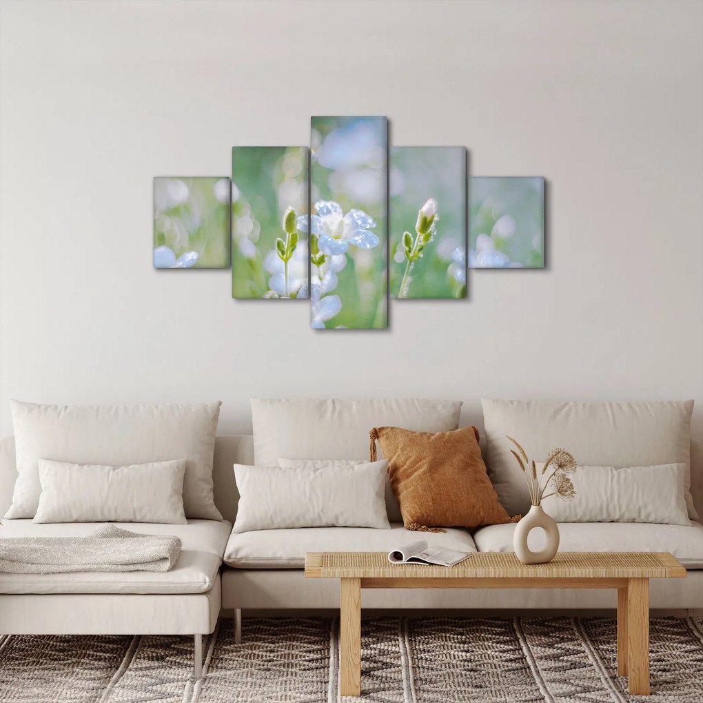 Obraz - Delikatne kwiaty (125x70 cm)