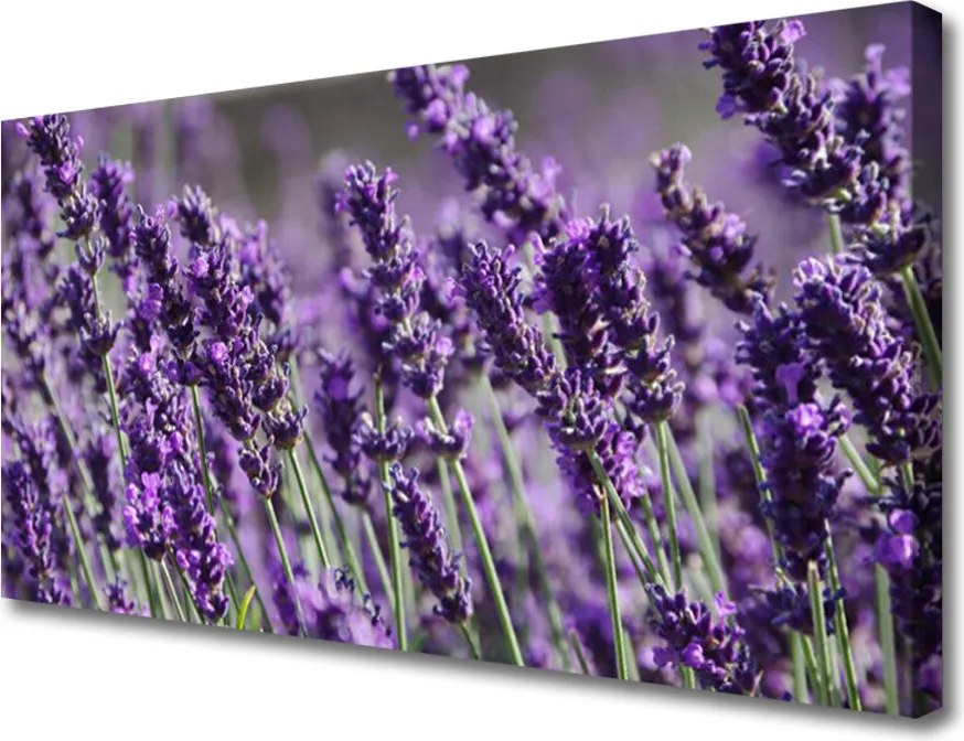 Fotoobraz na płótnie Kompozycja Kwiatowa na Płótnie