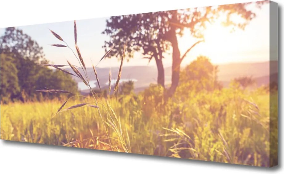 Obraz canvas Spokój Zielonej Polany