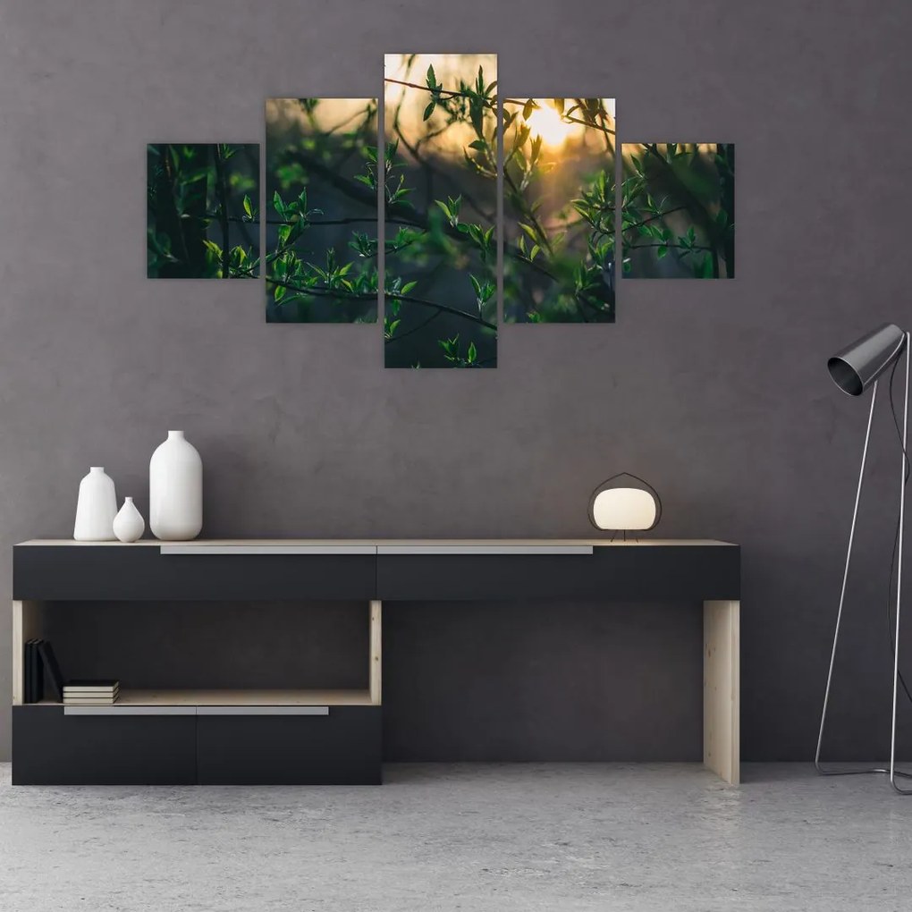 Obraz słońca przeświecającego przez gałęzie drzew (125x70 cm)