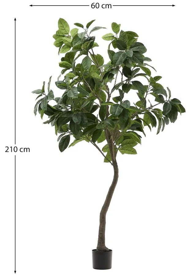 Sztuczny fikus (wysokość 210 cm) Ficus – Kave Home