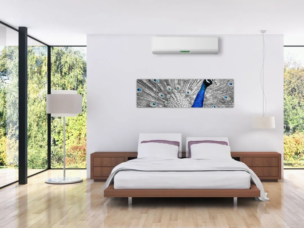 Obraz - niebieski paw (170x50 cm)