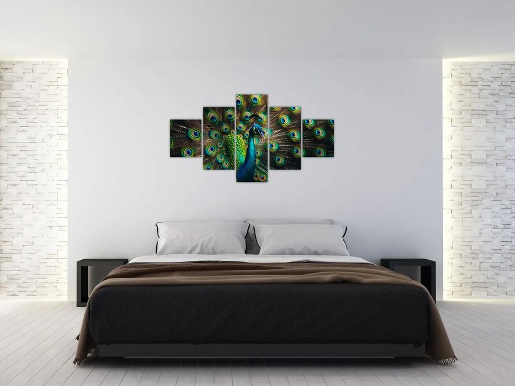 Obraz – Paw (125x70 cm)