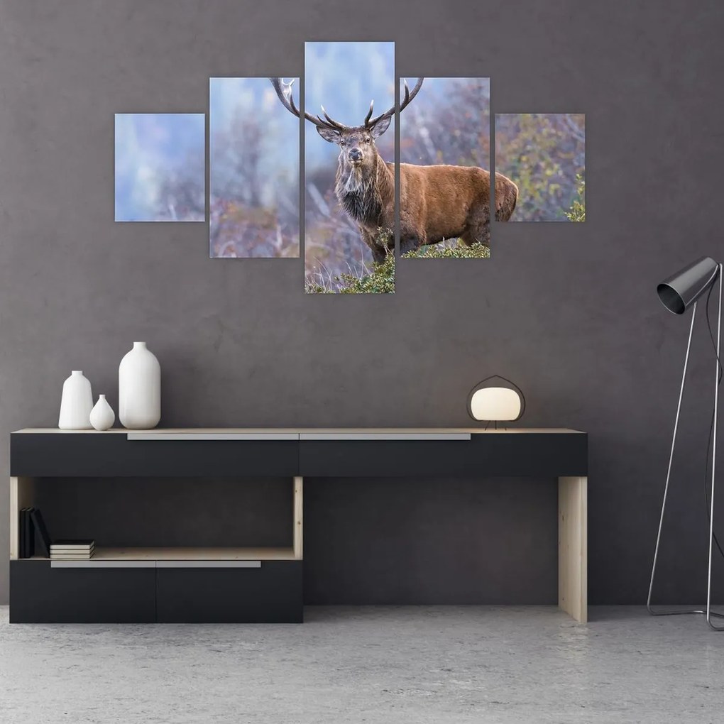 Obraz - Jeleń w krajobrazie (125x70 cm)