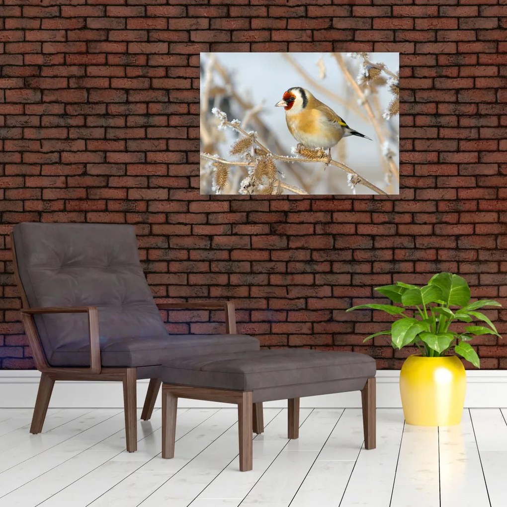 Obraz - Szczygieł (70x50 cm)