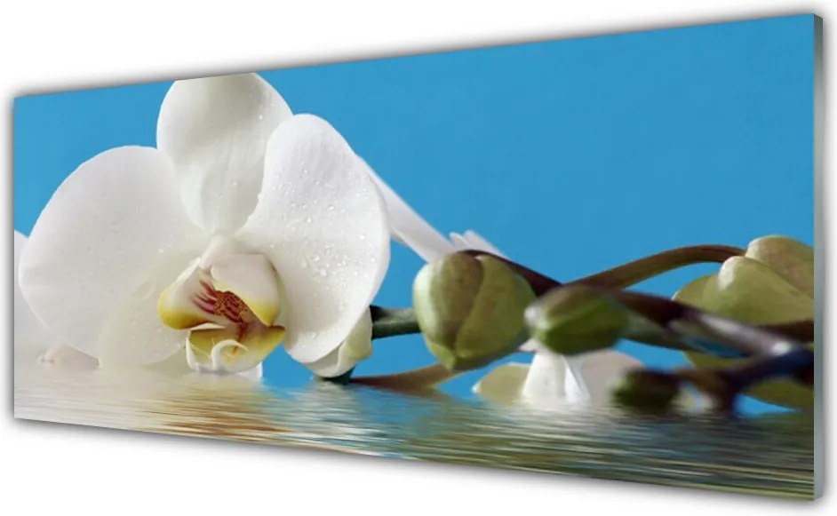 Szkło do Kuchni na Ścianę Botaniczny Portret Kwiatu