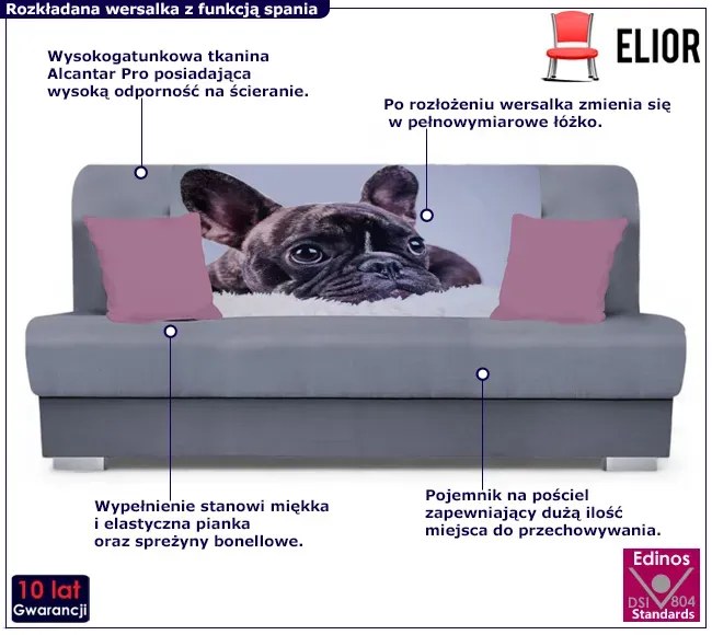 Szara rozkładana wersalka z motywem psa B6-H32