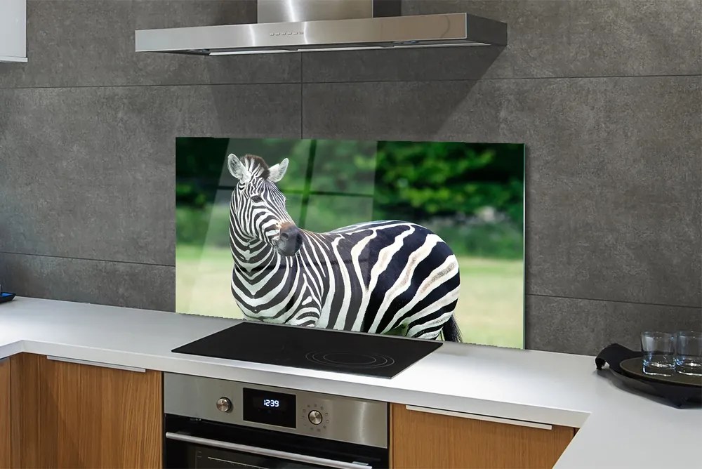 Panel szklany do Kuchni Zebra na tle Afrykańskiej Równiny