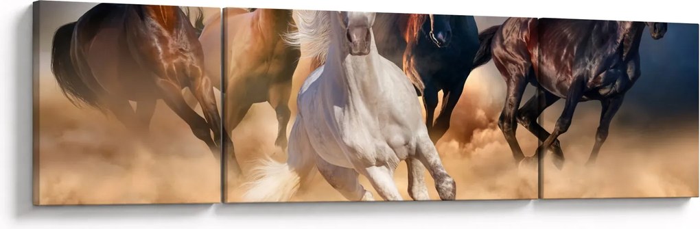 Obraz - Konie na pustyni (170x50 cm)