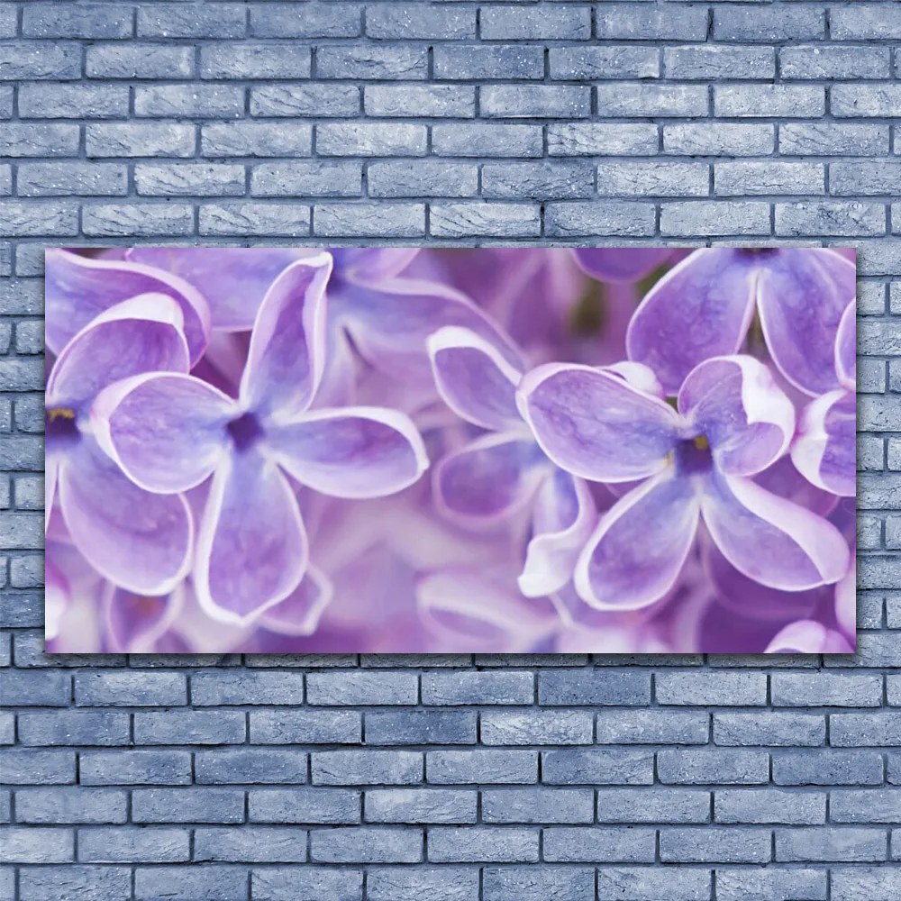 Obraz na płótnie Harmonijny Rozkwit Natury