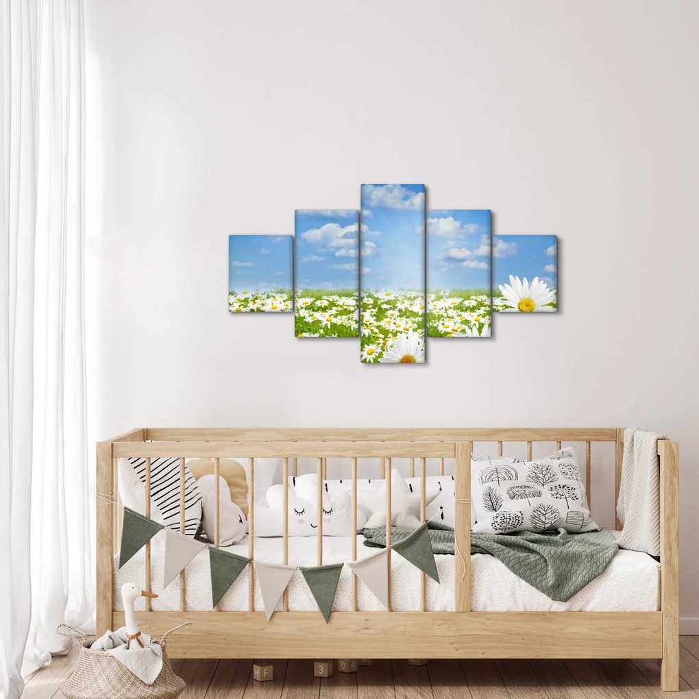 Obraz kwitnącej łąki ze stokrotkami (125x70 cm)
