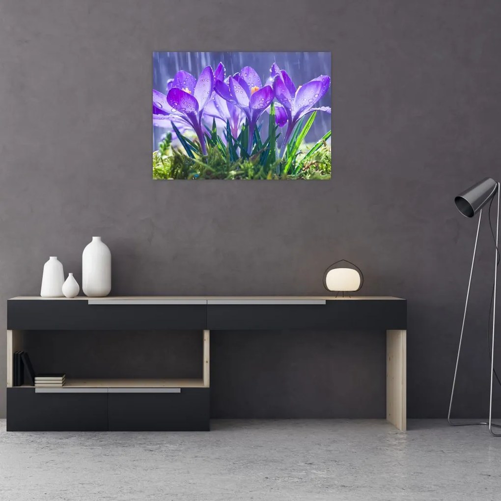 Obraz na szkle - kwiaty w deszczu (70x50 cm)