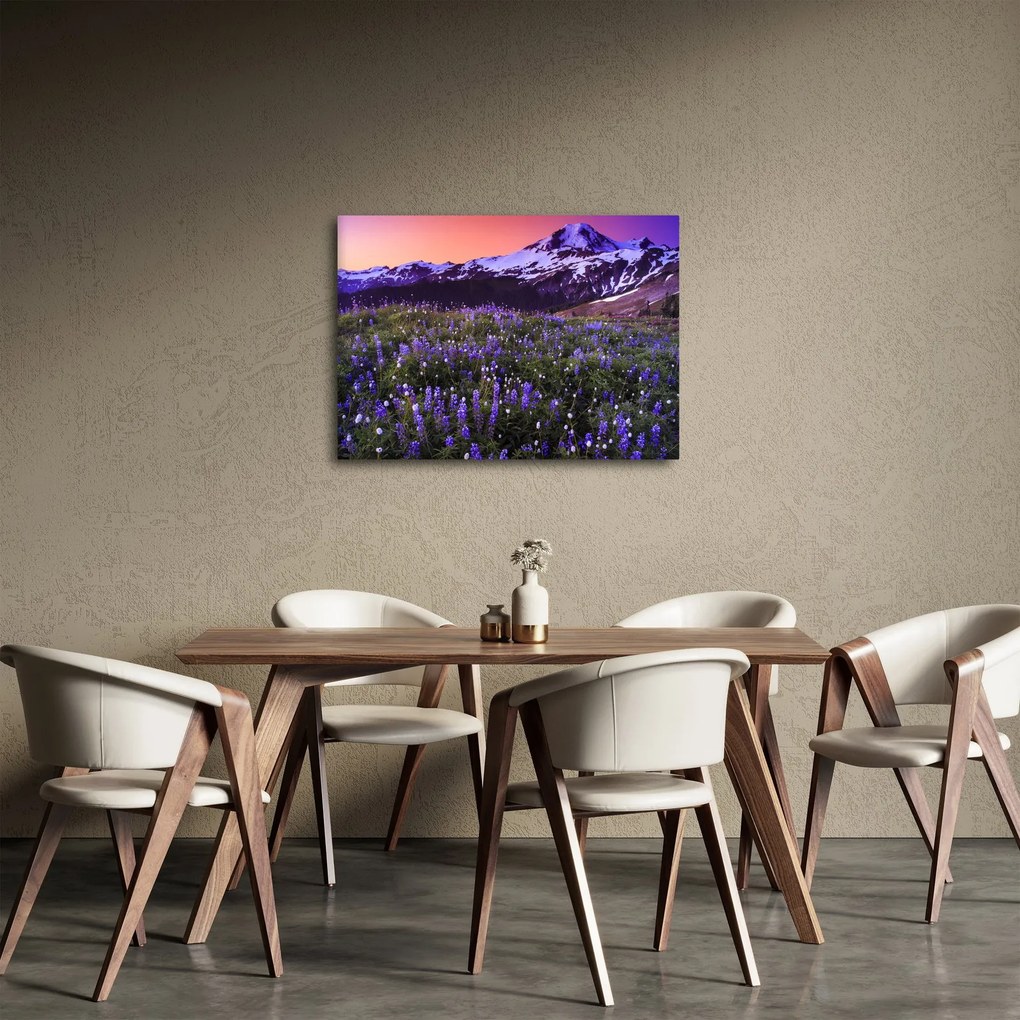 Obraz - Wulkan i kwiaty (70x50 cm)