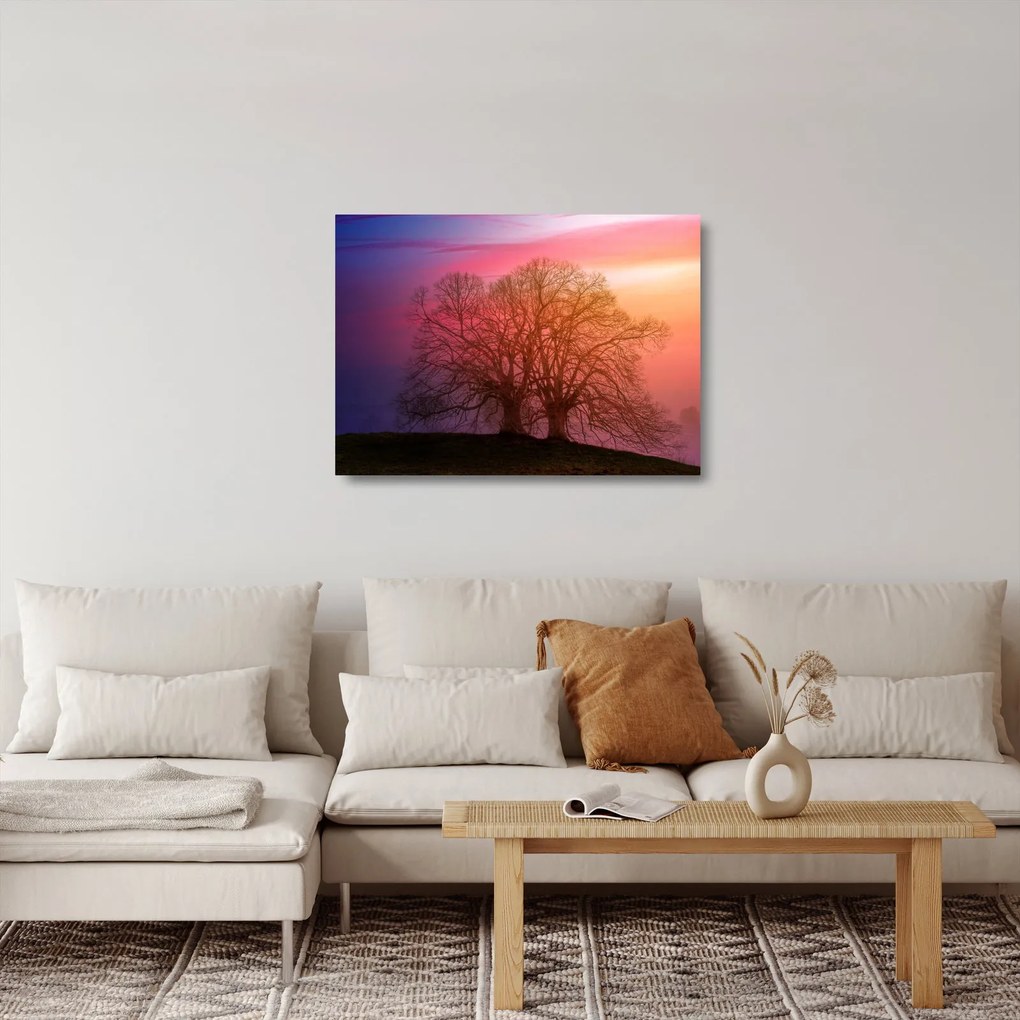 Obraz na szkle - drzewa we mgle (70x50 cm)