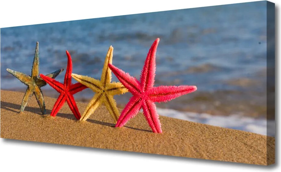 Fotoobraz na płótnie Rozgwiazda na Ciepłym Piasku