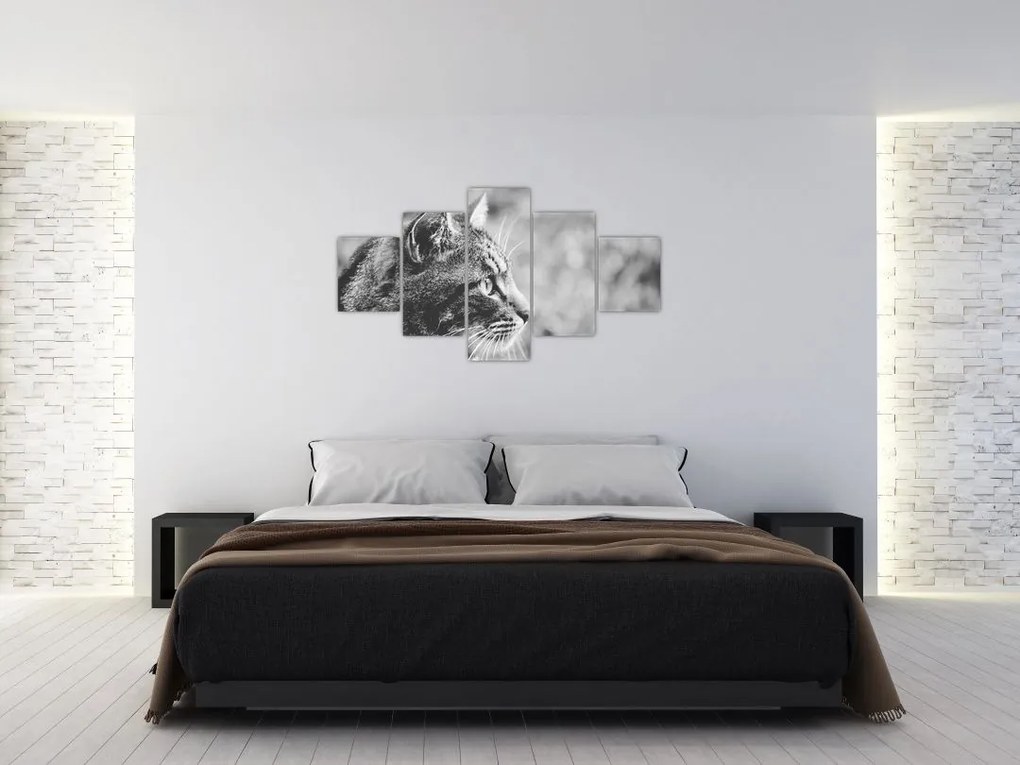 Obraz - Kot (125x70 cm)