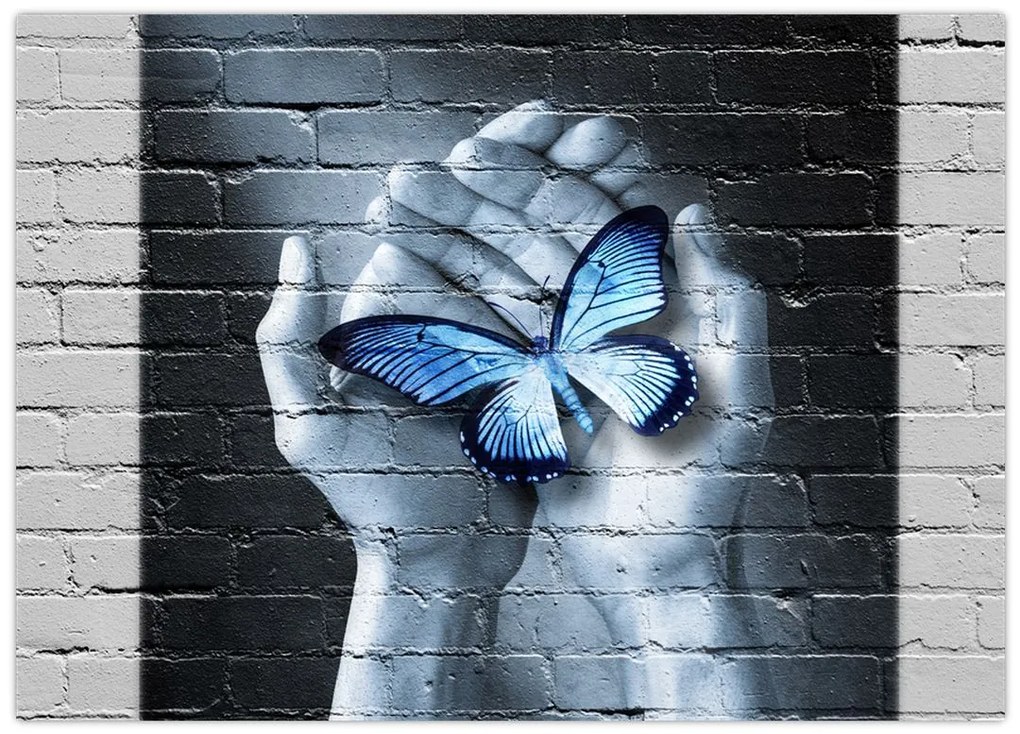 Obraz na szkle - Motyl na ścianie (70x50 cm)