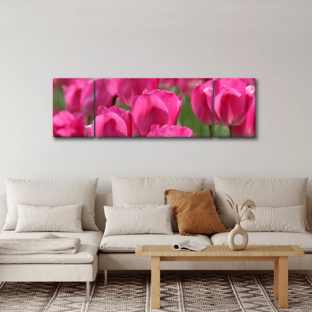 Obraz - Różowe tulipany (170x50 cm)