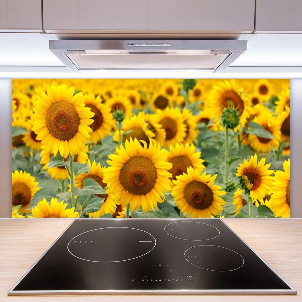 Panel Szklany Złociste Słoneczniki