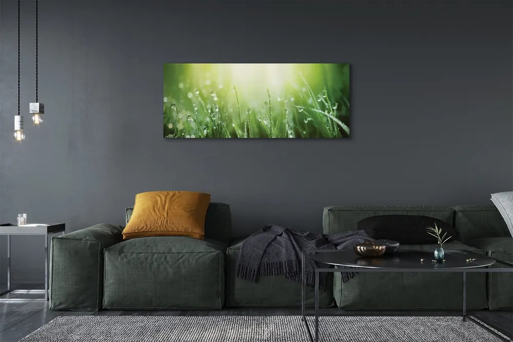 Zdjęcie na płótnie Słoneczne Krople na Trawie