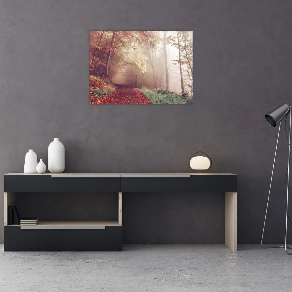 Obraz na szkle - Jesienny spacer po lesie (70x50 cm)
