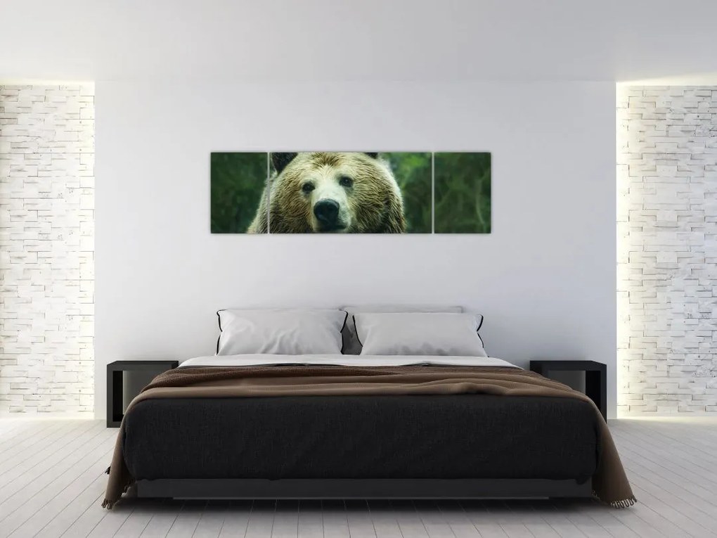 Obraz niedźwiedzia (170x50 cm)