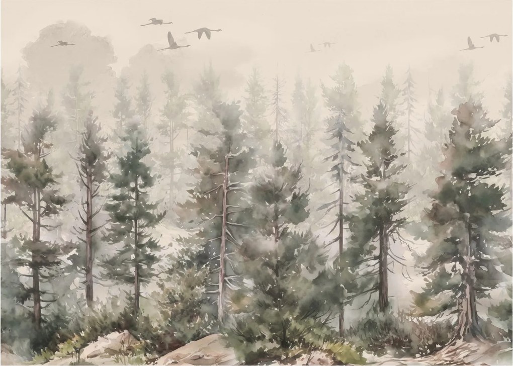Obraz - Pine forest I., aquarel (70x50 cm)