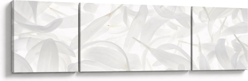 Obraz - Płatki (170x50 cm)