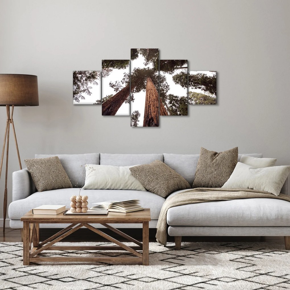 Obraz - Widok przez korony drzew (125x70 cm)