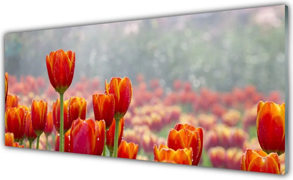 Panel Szklany Wiosenny Bukiet Tulipanów