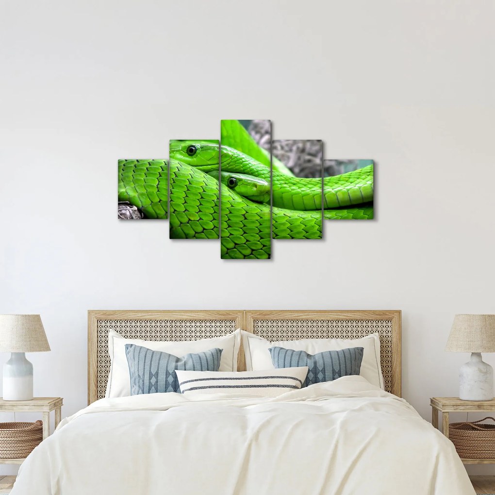 Obraz zielonych węży (125x70 cm)