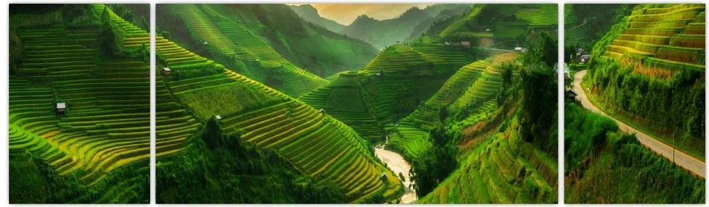 Obraz - Tarasy ryżowe Mu Cang Chai (170x50 cm)