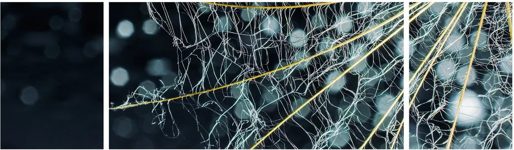 Obraz - Kwiat z pajęczyną (170x50 cm)