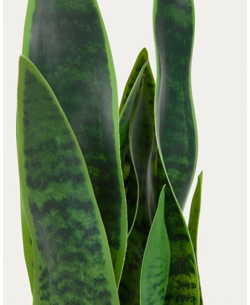 Sztuczna roślina (wysokość 55 cm) Sansevieria – Kave Home