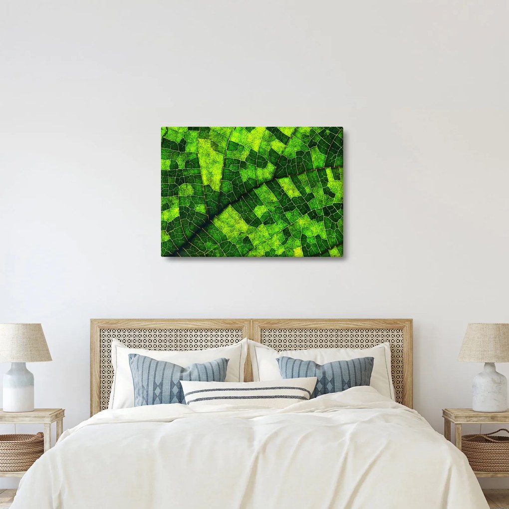 Obraz - Detal liścia (70x50 cm)